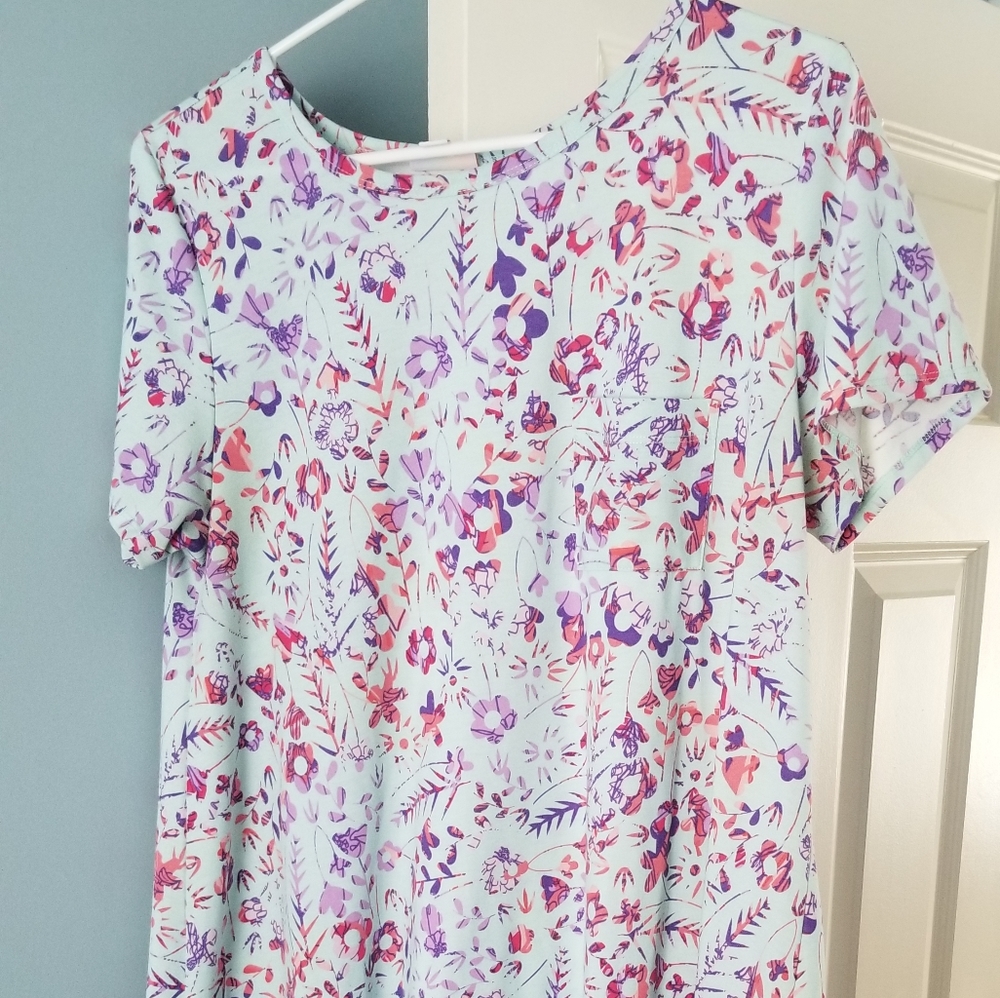LulaRoe Carly dress spring colors Medium